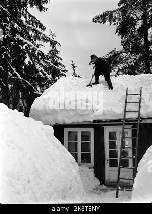 Südnorwegen, Februar 1951: Starker Schneefall über dem südlichen Teil des Landes verursachte wochenlang Chaos. Hier ist ein Mann Schnee vom Dach, aber es gibt fast nirgendwo den Schnee zu legen, der fast hoch mit dem Dach des Hauses ist .. Foto: Arne Kjus / Aktuell / NTB Stockfoto