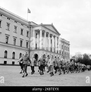 Oslo 195507. Der 10.. Jahrestag der Befreiung Norwegens. Die Heimattruppen, die Milorg-Gruppe und Soldaten in Parade auf dem Schloss. Foto: NTB Archive / NTB Stockfoto