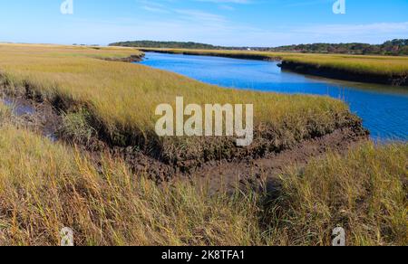 Sesuit Marsh von Crow's Pasteur am Cape Cod, USA Stockfoto