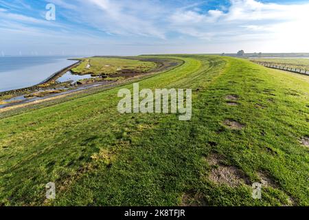 Punt van Reide Vorgebirge im Dollart, Niederlande Stockfoto