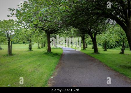 Pfad durch den Park/von Bäumen gesäumten Pfad - Wavertree Botanic Gardens, Liverpool Stockfoto