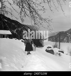 Dalen in Telemark, Februar 1955. Ingerine und Gorine Schvenius (83 und 81 Jahre alt) leben allein auf dem Platz ROI oder Rui im Tal des Telemark. Auf diesem kleinen Platz hoch oben in der Bergwelt steht die Zeit still. Hier ist Gorine auf dem Weg, um Wasser zu holen, etwa 100 Meter vom Haus entfernt. Foto: Aage Storløkken / Aktuell / NTB Stockfoto