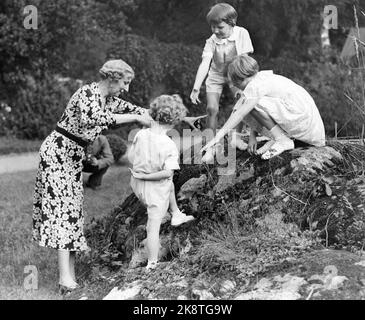 Getå, Åby, Schweden 19370818. Die belgischen Kunge-Kinder in Fridhem, der Sommerresidenz der Großeltern Prinz Carl und Prinzessin Ingeborg in der Nähe von Bråviken. Hier spielen König Leopolds und die Kinder der verstorbenen Königin Aestry, Kronprinz Baudouin, Prinzessin Josephine-Charlotte und der kleine Prinz Albert mit ihrer Großmutter, Prinzessin Ingeborg. Foto: A.B. Text und Bilder Stockfoto