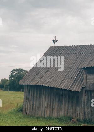 Eine Vertikale eines Vogels, der auf dem Dach eines alten Holzhauses steht Stockfoto