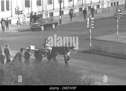 Oslo 19640314. Das Pferd Petter ist das einzige Arbeitslicht im Zentrum der Hauptstadt. Es migriert täglich zu Kunden im Zentrum von Oslo. Er macht eine Pause im Hinterhof, den Ivar Aasen zu seiner Zeit gelebt hat. Petters Fahrer heißt Simen Byfuglien 58 Jahre und kommt aus Etnedal in Valdres, der den Transport mit Pferd und Wagen betreibt. Foto: Sverre A. Børretzen Current / NTB Stockfoto