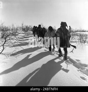 Finnmark 1952. Sami-Heimatverteidigungssoldaten auf Rentierpatrouille Übung auf Finnmarksvidda. Die Vorladung bringt ihre eigenen Rentiere, die der Heimatschutz NOK zahlt. 2,50 pro Tag in den 14 Tagen dauert die Übung. Die Sami haben keine Uniformen, sind aber mit der HV-Markierung im Park zufrieden, die Rekruten würden im Winter mit Uniform erfrieren. Hier sehen wir HV-Schiffspatrouille ohne Skier mit Schusswaffen am marsch über die Wiese. Foto: Aktuell Stockfoto