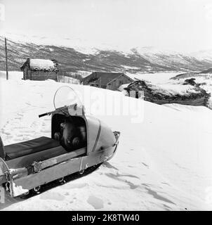 Argehovd nördlich von Møsvatn, Hardangervidda. März 1966. Åsmund Løvås (84) lebt und betreibt mit seinen beiden Söhnen den Hof Argehovd weit in Hardangervidda. Jagd und Fallenlassen gehören zu ihrem Alltag. Hier ist ein Schneemobil. Foto: Aage Storløkken / Aktuell / NTB Stockfoto