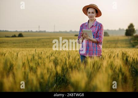 Ein junger Fcrmer überprüft ein Getreidefeld und sendet Daten von einer Tablette an die Wolke. Konzept von Smart Farming und digitaler Landwirtschaft. Erfolgreiche Produktion Stockfoto