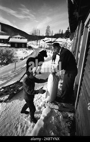 Rukkedalen in Hallingdal 1963 vom alten Landhändler in Rukkedalen in Hallingdal. Krambu. Länderhandel. Der Besitzer Arne S. Eidal hilft einem Kunden mit einer Tasche, die er auf den Schlitten beladen wird. Foto: Sverre A Børretzen / Aktuell / NTB Stockfoto