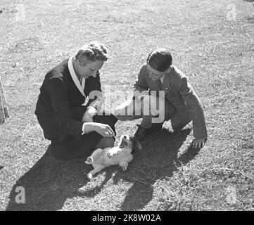 Asker 19460524. Die Kronprinzenfamilie fotografierte in Skaugum. Hier sehen wir Kronprinzessin Märtha und Prinz Harald mit dem Familienhund. Foto: NTB Archive / NTB Stockfoto