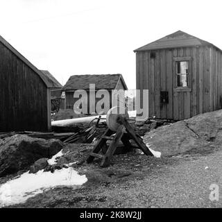 Lofoten, Winter 1951. Mehrere Fischerdörfer in Lofoten werden geräumt, weil sie ohne Strom, Straßen-, Kais- und Telefonanschluss nicht betrieben werden können. An einigen Orten haben die Gemeinden beantragt, Geld vom Staat zu bewegen, um die Häuser und die gesamte Bevölkerung zu bewegen. Hier aus Refsvik, wo die meisten Häuser verlegt wurden, aber die Zehe bleibt und wird kaum bewegt. Im Vordergrund ein alter Schleifstein. Foto: Sverre A. Børretzen / Aktuell / NTB Stockfoto