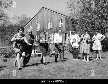 Oslo, 17. Mai 1961. Israels Außenminister Golda besucht Norwegen noch mehr. Hier bei einer Gartenfirma bei Jens Chr. Hauge. Der Eierlauf ist in vollem Gange. Von v. See; Randi Bratteli, Botschafter Barkat, Golda more, Gunnar Randers plus teilweise skeptische Kinder. Foto: Aage Storløkken / Aktuell / NTB Stockfoto