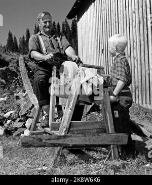 Flatdal in Telemark, August 1959. Fjellgården Ekre liegt 600 Meter über dem Meeresspiegel und in einem derart unwegsamen Gelände, dass "niemand denken würde, dass jemand es könnte BU". Hier der Bauer selbst, Bjørn Ekre, der auf dem Schleifstein im Hof grinst, mit seinem Sohn Bjarne (7) als Zuschauer. So wird ein alter Griff von Vater zu Sohn vererbt. Foto: Aage Storløkken / Aktuell / NTB Stockfoto