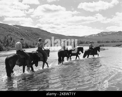 Hardangervidda 19560728 der Tourismusverband organisiert eine Reittour auf Hardangervidda für norwegische und englische Touristen, die noch nie zuvor auf einem Pferd gesessen haben. Foto; Aage Storløkken / Aktuell / NTB Stockfoto