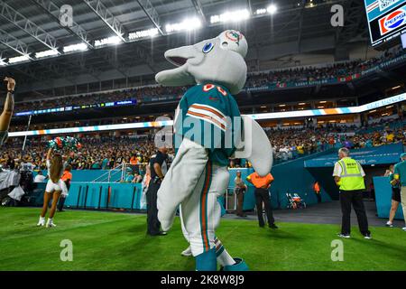 Miami Gardens, Florida, USA. 23. Oktober 2022. 23.. Oktober 2022 Maskottchen der Miami Dolphins während der Pittsburgh Steelers gegen Miami Dolphins in Miami Gardens, FL. Jake Mysliwczyk/BMR (Bild: © Jake Mysliwczyk/BMR über ZUMA Press Wire) Stockfoto