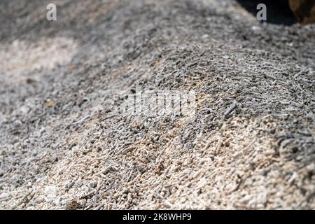 Abgestorbene Korallen, gebleichte Korallen aufgewaschen. Korallenstrand vom großen Bariierriff in queensland, australien Stockfoto