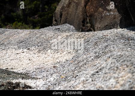 Abgestorbene Korallen, gebleichte Korallen aufgewaschen. Korallenstrand vom großen Bariierriff in queensland, australien Stockfoto