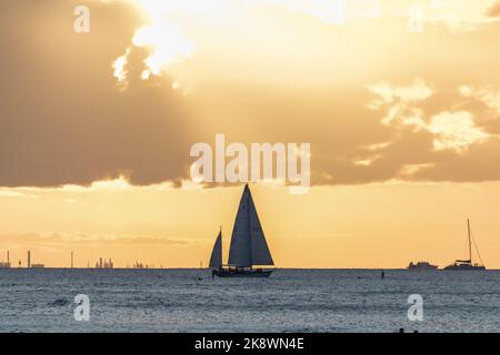 Atemberaubender Sonnenuntergang von Oahu in Hawaii mit Silhouetten von Surfern und Schwimmern. Stockfoto