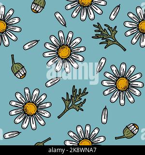 Nahtlose Wiederholung handgezeichnetes Kamillenblütenmuster auf blauem Hintergrund mit schwarzer Umrisse für Wickelpapier-Teedose und natürliche kosmetische Verpackung Stockfoto