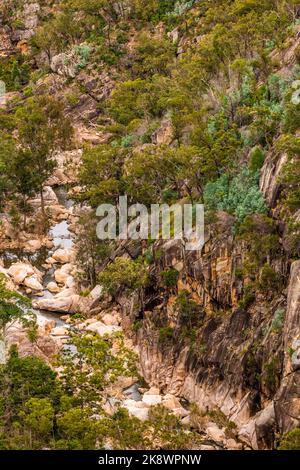 Ländlich, Wildnis Billabong, Bachgebiet von Queensland, Australien. Stockfoto