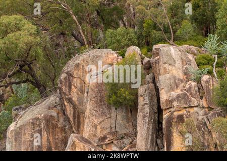 Ländlich, Wildnis Billabong, Bachgebiet von Queensland, Australien. Stockfoto