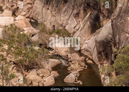 Ländlich, Wildnis Billabong, Bachgebiet von Queensland, Australien. Stockfoto