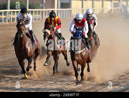 Gouvernement Mubarak Al Kabeer. 25. Oktober 2022. Reiter nehmen an Pferderennen in Mubarak Al-Kabeer Governorate, Kuwait, 24. Oktober 2022 Teil. Die Pferderennsaison in Kuwait begann am Montag im Kuwaiti Hunting and Equestrian Club in Mubarak Al-Kabeer Governorate mit 35 Pferden, die am ersten Tag an 4 Rennen teilnahmen. Quelle: Asad/Xinhua/Alamy Live News Stockfoto