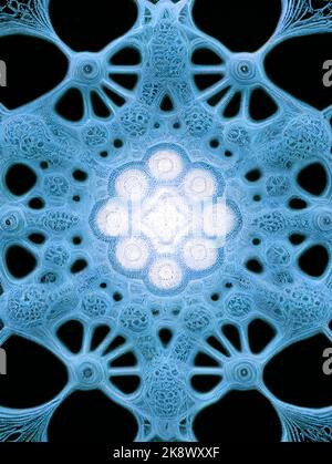 Fraktale geometrische Form mit detaillierter Struktur, eine Illustration der Musterkomplexität mit unendlicher Tiefe und Komplexität. Ein blaues Mandala. Stockfoto