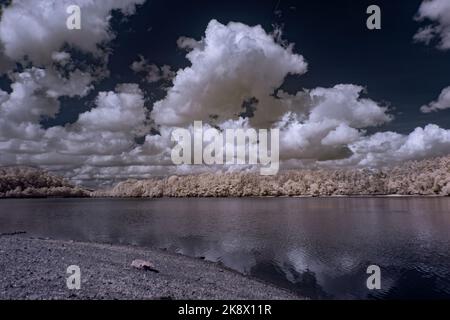Infrarot-Landschaft mit 720 nm, strahlend weißer Vegetation, surrealen Wäldern und sanften Hügeln in Falschfarbenfotografie, traumhafte Naturszene Stockfoto