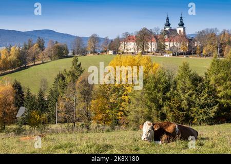 Klášter Hora Matky Boží, Hedeč, Králíky, Východní Čechy, Česká republika / Bergkloster der Gottesmutter, Kraliky-Stadt, Ostböhmen, Tschechische Republik Stockfoto