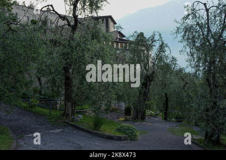 Garten von San Daniele Comboni Stockfoto