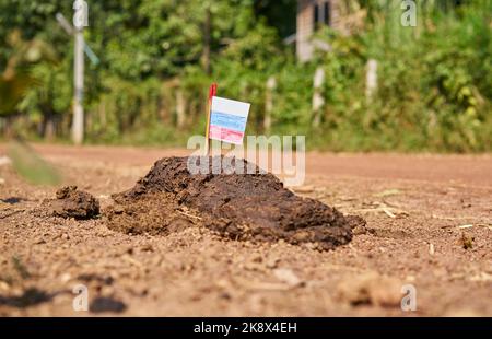 Eine russische Flagge auf einem Misthaufen auf einer Landstraße. Stockfoto