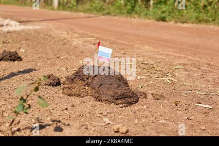 Eine russische Flagge auf einem Misthaufen auf einer Landstraße. Stockfoto