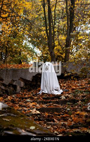 Hund in einem Geisterkostüm. Halloween-Konzept Stockfoto