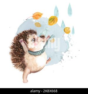 Niedlicher Igel breitet Herbstblätter vor dem Hintergrund von Regentropfen aus Aquarell-Illustration isoliert auf weißem Hintergrund Stockfoto