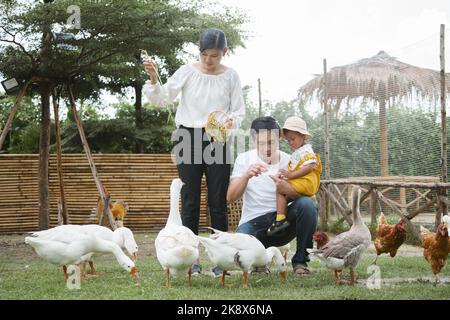 Glückliche Familie Vater, Mutter und Sohn füttern Ente auf dem Bauernhof. Stockfoto