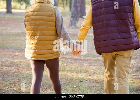 Zugeschnittenes Foto eines reifen Paares, das beim Spaziergang im Wald die Hände hält Stockfoto
