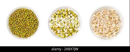 Mungbohnen, getrocknet, gekeimt, und Mungbohnensprossen, in weißen Schalen, isoliert, von oben, über Weiß. Ein Gemüse, das von der keimenden Vigna radiata angebaut wird. Stockfoto