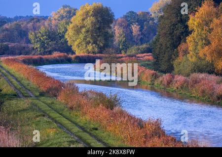 Friedrichsmoor, Deutschland. 25. Oktober 2022. Im Naturschutzgebiet Lewitz stehen Bäume mit herbstlicher Laubfarbe entlang der Elde. Das rund 16.800 Hektar große Gebiet erstreckt sich im südwestlichen Mecklenburg südlich von Schwerin und ist geprägt von der Elde, künstlichen Kanälen und zahlreichen Seen. Quelle: Jens Büttner/dpa/Alamy Live News Stockfoto