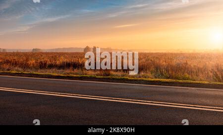 Asphaltstraße bei Sonnenaufgang. Wiese im Hintergrund. Nebliger Herbstmorgen Stockfoto