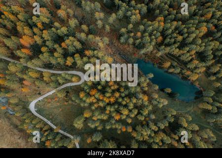 Eine Straße im Wald in der Herbstzeit. Kurvige Straße in einem bunten Wald und direkt neben einem See. Stockfoto