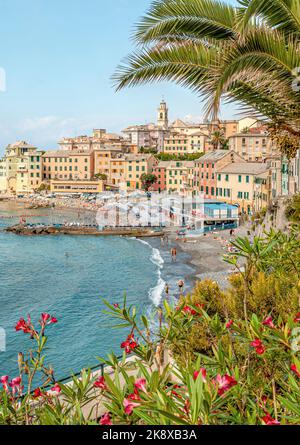 Panoramasicht auf Bogliasco, Rivera di Levante Liguria, Italien Stockfoto