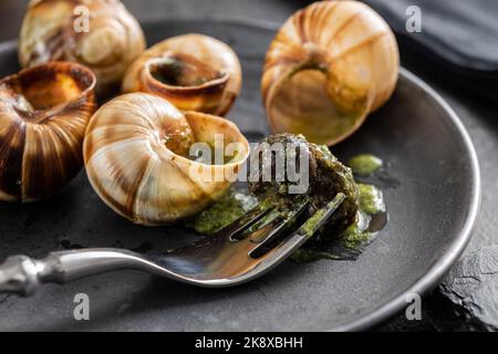 Schnecken mit Petersilienbutter, Bourgogne Escargot Schnecken auf dem Teller. Delikatesisches Essen. Stockfoto