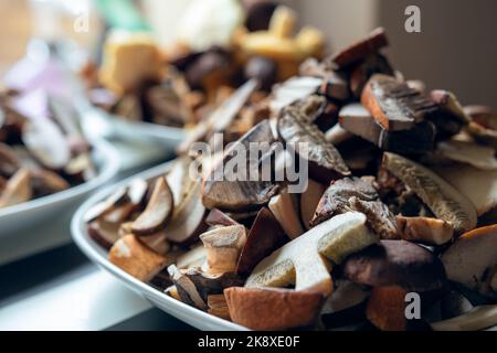 Teller voller gereinigter, in Scheiben geschnittener, farbiger Pilze. Lorch-Bolete; Lärchenbolze; rutschiger Jack; orangefarbener Birkenbolet. Stockfoto