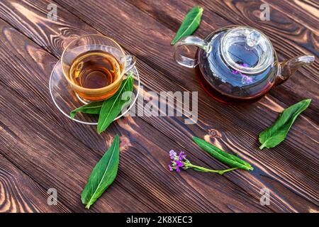 Wasserkocher mit Kräutertee und frischen Blättern Matthiola incana, Brompton Brühe, gewöhnliche Brühe, Heidelbrühe, zehnwöchige Brühe und gilly-Blume-Tee mit frischem Stockfoto