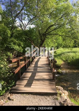 Eine vertikale Aufnahme eines Mannes, der auf der schmalen Brücke im Garten steht und Fotos fotografiert Stockfoto