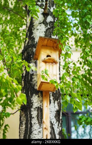 Vogelhaus aus Holz am Baum. Vogelhaus, das auf einer Birke mit grünem Laub hängt. Frühling und Vogelpflege Konzept Stockfoto