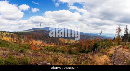 Berge im Herbst. Bergpanorama voller Herbstfarben. Żywiec Beskids, Polen Stockfoto