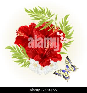 Rote Hibiskus tropische Blumen mit Jasminblüten und Schmetterling Vintage Vektor editierbare Illustration von Hand gezeichnet Stock Vektor