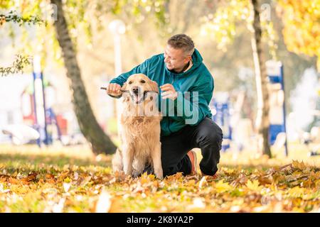 Mann spielt mit seinem Hund Golden Retriever im Park Stockfoto